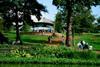 Savill Garden Windsor Great Park group packages