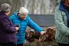 Visitors stroke goats at the Cotswold Farm Park, Gloucestershire