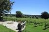 Groups Welcome At Nutbourne Vineyard For English Wine Week %7C Group Travel News