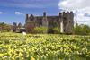 Hever Castle in Spring