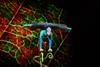 A performer shows an incredible move as part of Cirque du Soleil's OVO show