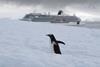 Viking Expedition Ship in Antarctica