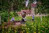 Three people looking at Henry Moore sculpture surrounded by gardens