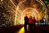 Christmas At Kew%3B Group Sales Open %7C Group Travel News %7C The Pea-light tunnel Image credit Jeff Eden%2C RBG Kew