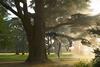 Megalosaurus sculpture in the gardens of Blenheim Palace