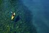 Blue World Voyages - sea kayak
