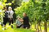 Vineyard Tour