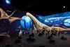 Lightroom presents Prehistoric Planet Discovering Dinosaurs