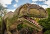 Animatronic dinosaur exhibition at Chester Zoo
