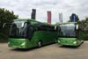 Greenline Coaches