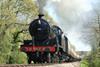 West Somerset Railway to host Spring Steam Gala in March 2016 %7C 88 at Churchlands T