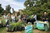 Borde Hill Gardens' Specialist Plant Fair