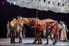 Tom Sturgess (Albert Narracott), Matthew Lawrence, Rafe Young, Felicity Donnelly (Joey) and cast in War Horse