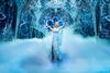 Disney's Frozen The Musical