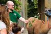 Animal Adventure ZSL London Zoo