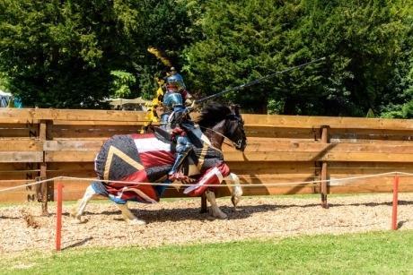 Jousting Tournament 2022