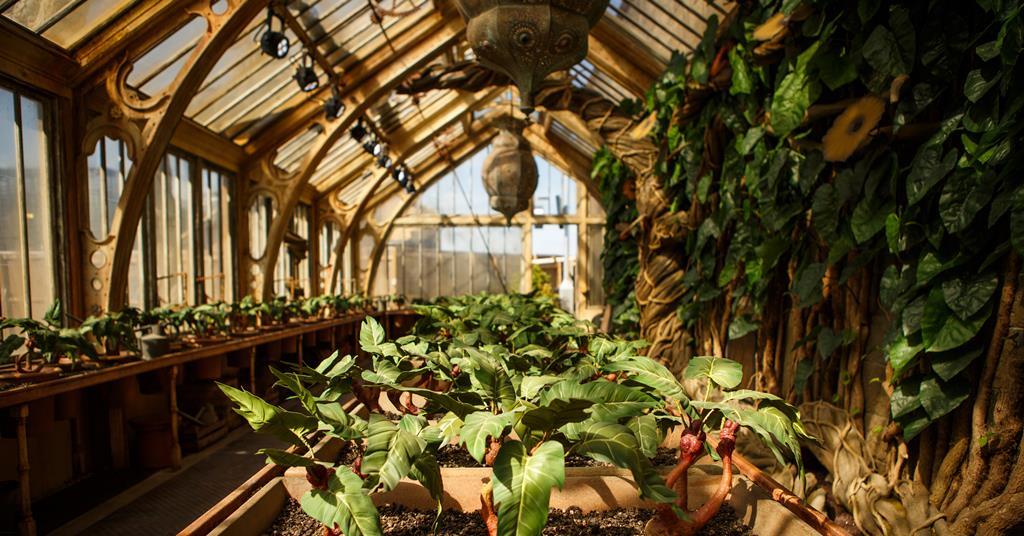 Uncover Professor Sprout’s greenhouse at the Warner Bros. Studio Tour ...