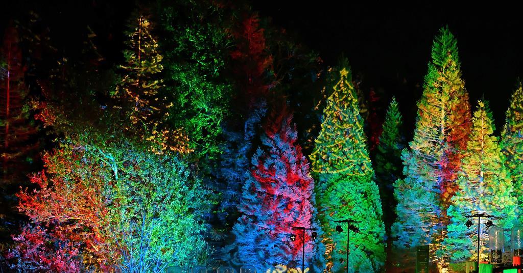 15 spectacular Christmas light trails across the UK to celebrate the