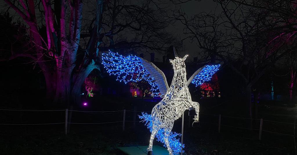 Glow Marwell will return with new illuminations this Christmas News