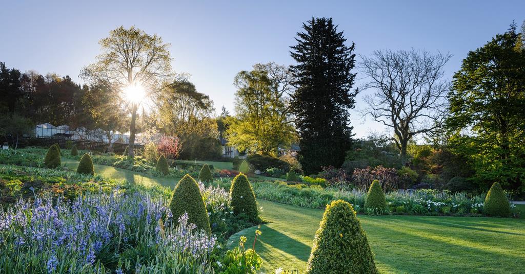 Photo gallery: 10 uplifting images from RHS gardens | Features | Group ...