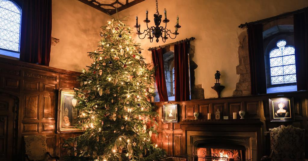 Historic venues show off their Christmas displays for the festive ...