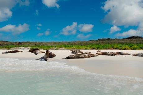 New Ship To Join G Adventures Fleet In 19 News Group Leisure And Travel