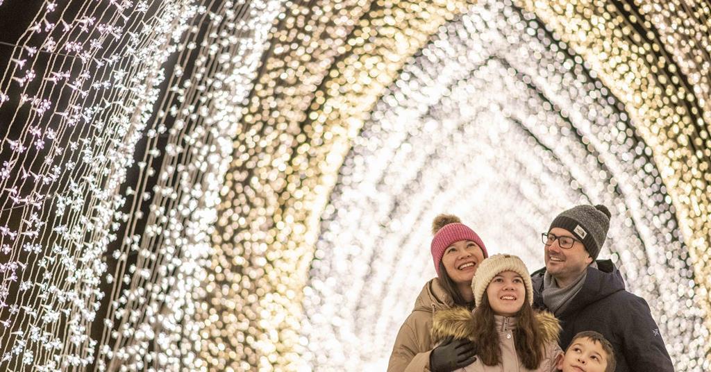 Christmas light trail returns to Bedgebury National and Forest