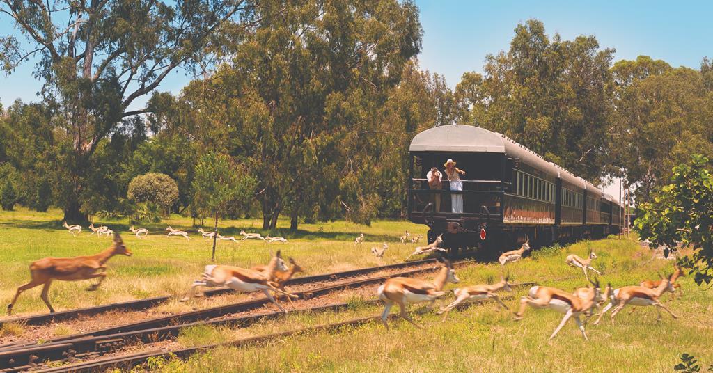 Review: Take the slow train through South Africa ...