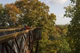 A visitor looks out from the Treetop Walkway at Kew Gardens