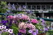 All England Lawn Tennis Club