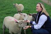 Belvoir Castle's new animal park