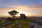 Dartmoor