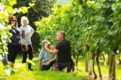 Vineyard Tour