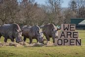 ZSL Whipsnade Zoo