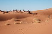Sahara Desert