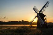 Norfolk