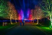 National Memorial Arboretum trees lit up for Christmas