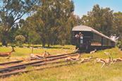Rovos Rail's observation car 