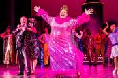 Hairspray the Musical Previous Production Cast - Photo credit Pamela Raith (2)