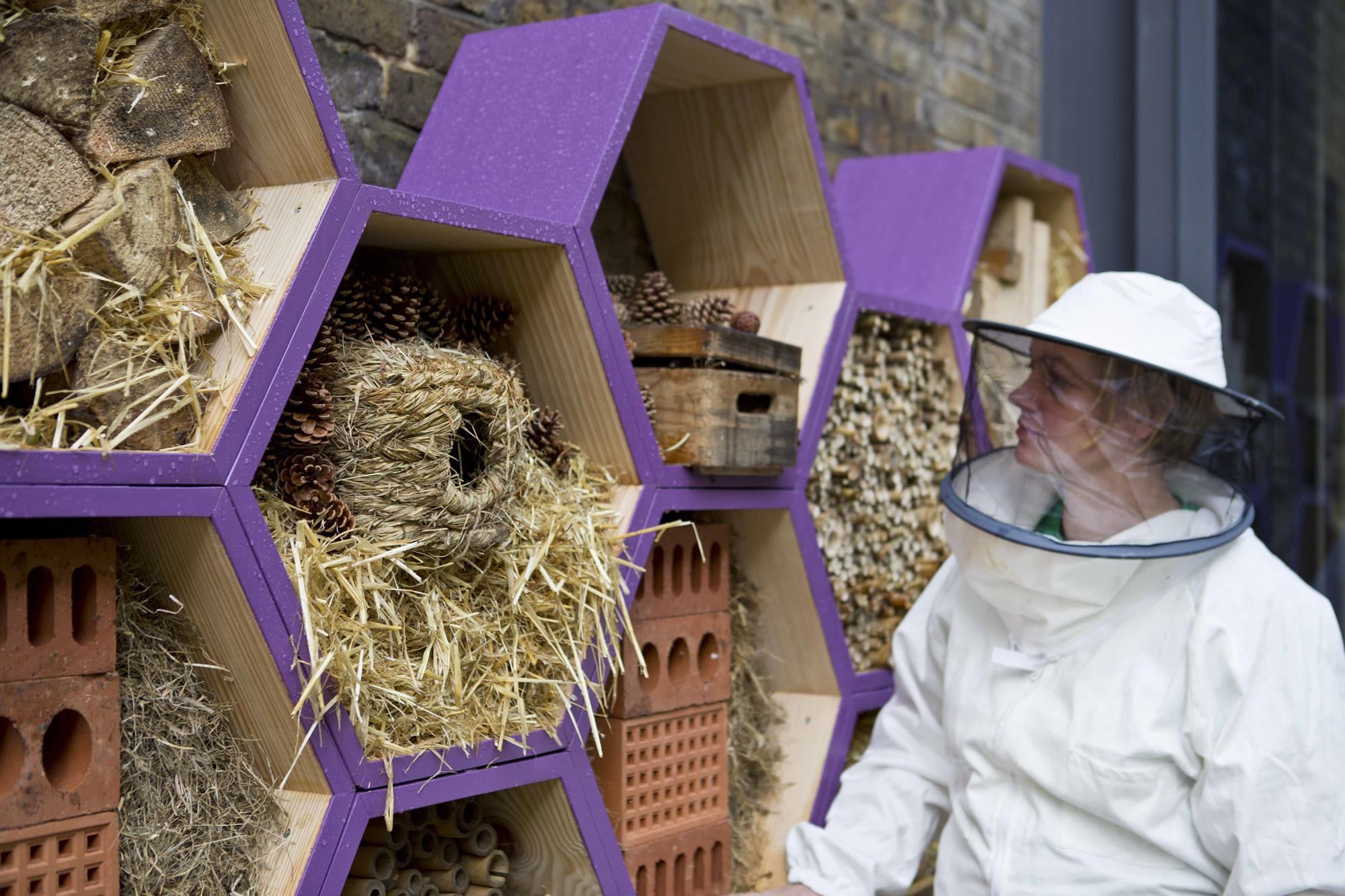 Beekeeping launched in London News Group Leisure and Travel