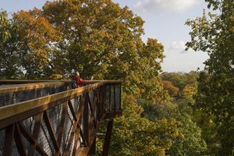 A visitor looks out from the Treetop Walkway at Kew Gardens