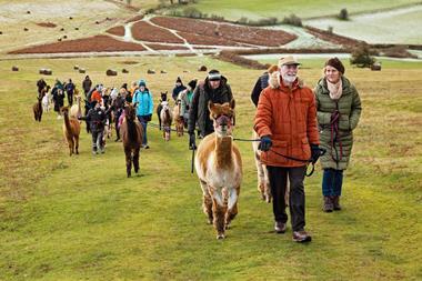 Alpaca My Boots experience