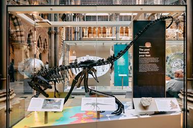 A standing skeleton of a Eustreptospondylus on display in a museum
