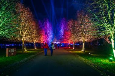 National Memorial Arboretum trees lit up for Christmas