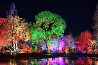 Glow at RHS Wisley