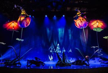 Performance from Cirque du Soleil's OVO show