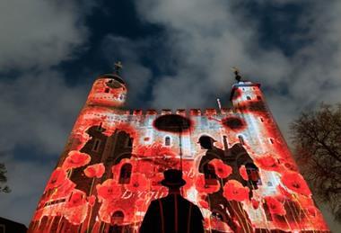 Poppy at the Tower