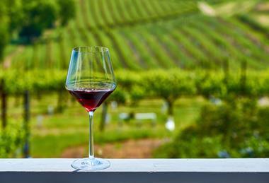 A glass of red wine in front of vineyards.