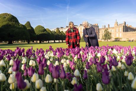 Tulip Festival at Hampton Court Palace