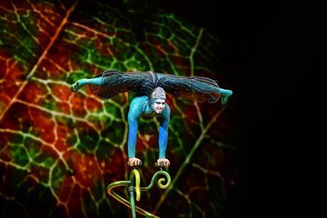 A performer shows an incredible move as part of Cirque du Soleil's OVO show
